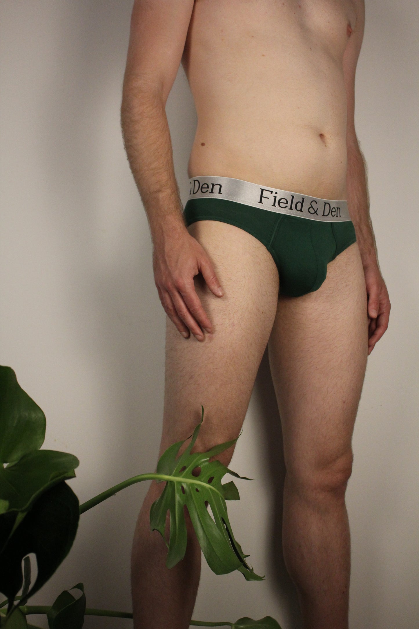 Forest Green Bamboo Underwear - Briefs